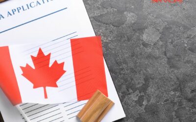 Immigration services in Surrey: A guide to finding the right consultant